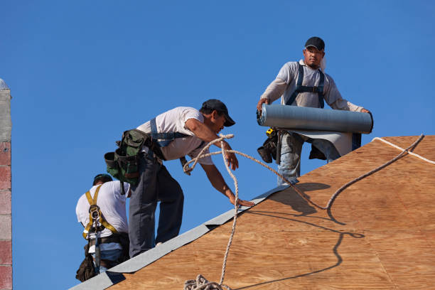 Best Storm Damage Roof Repair  in Staunton, VA